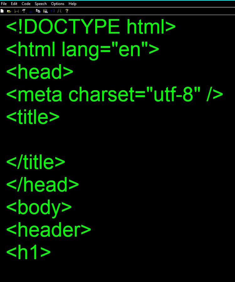 Inclusion Code screen shot.